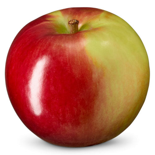 Fresh McIntosh Apple